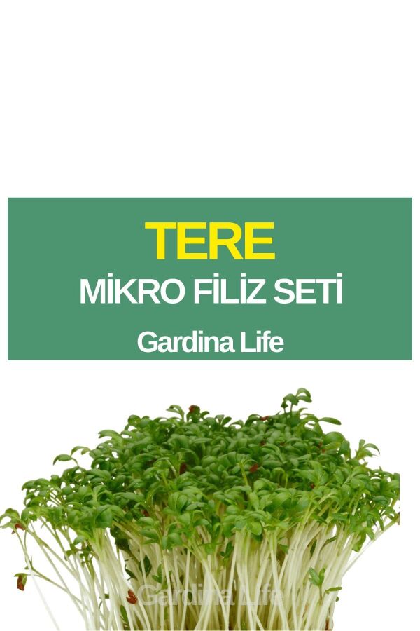Tere Mikro Filiz Seti - 1