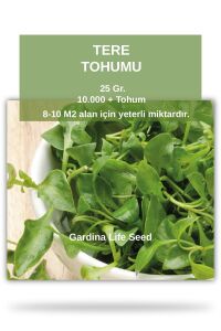 Tere Tohumu 25 Gr. 10.000 Tohum - 1