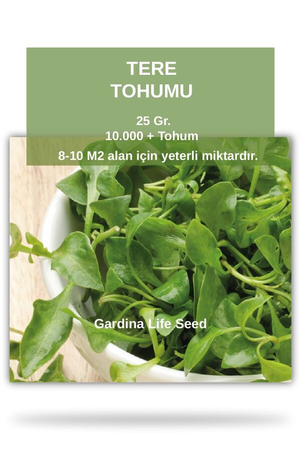 Tere Tohumu 25 Gr. 10.000 Tohum - 1