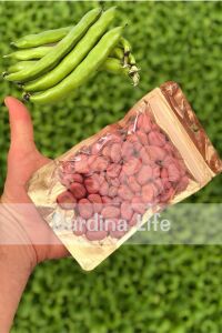 Tohum Paketi Bezelye , Bakla Tohumu 500 Tohum 200 Gr. - 3