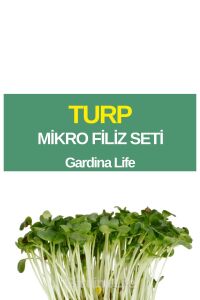 Turp Mikro Filiz Seti - 1