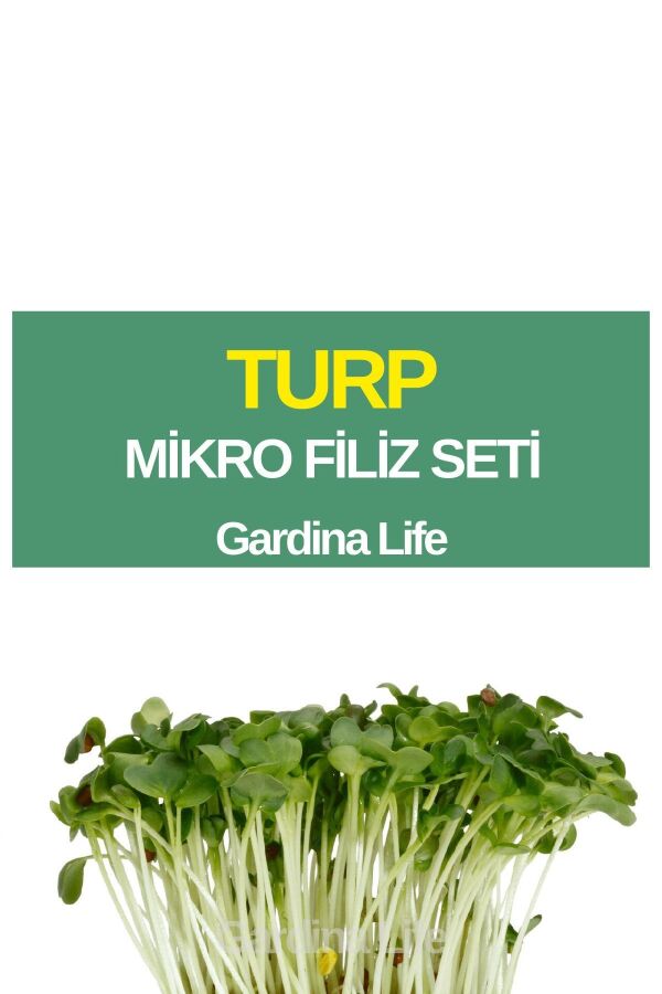 Turp Mikro Filiz Seti - 1